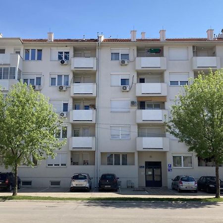 Apartman Senjak Pirot Exteriör bild
